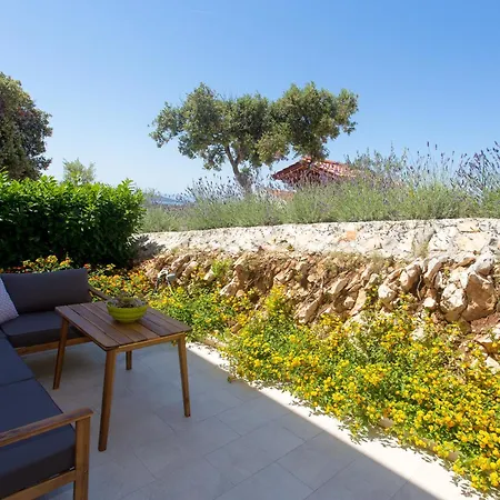 Lemon Tree Vinisce